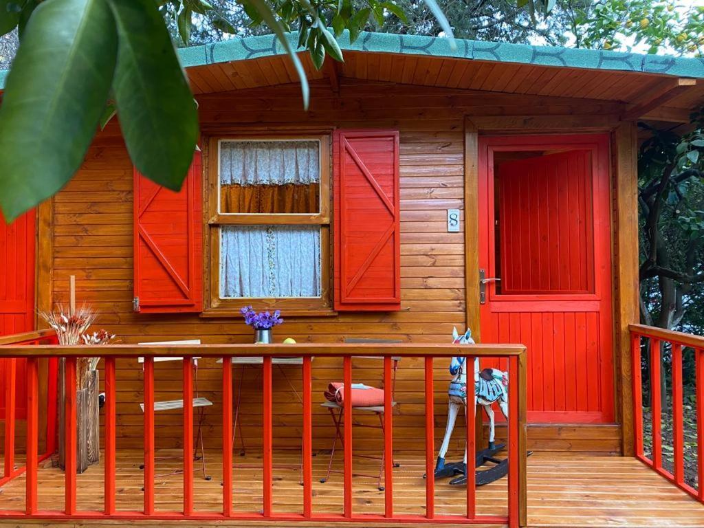 Gayb-I Bungalows By Naturelife - Free Access To Beach Cirali Exterior photo